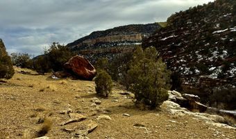 TBD X4 Road, Bedrock, CO 81411