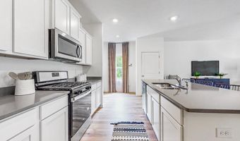 101 Peavine Way Plan: The Oliver, Alabaster, AL 35007