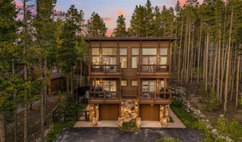 564 WHITE CLOUD Dr, Breckenridge, CO 80424