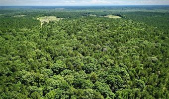 000 William Colvin Rd, Bernice, LA 71222