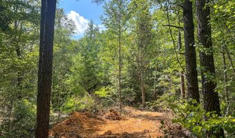 1555 Tbd CR 57 - Brooks Rd, Water Valley, MS 38965
