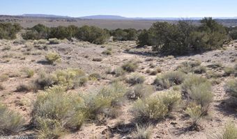 623 C Lazy S Ranch Rd, Concho, AZ 85924