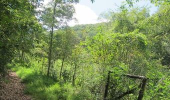 43 Sanctuary Ln, Alderson, WV 24910