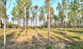 4 AL SR 223, Banks, AL 36005