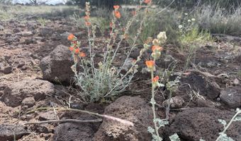 1 Hideaway Rd, Ash Fork, AZ 86320