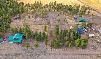 County Road N2144, Alpine, AZ 85920