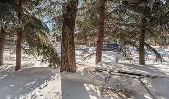 814 W Bleeker St E4, Aspen, CO 81611
