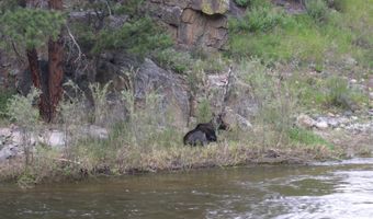 31 Kings Canyon Rd, Bellvue, CO 80512