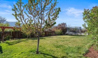 1317 Mary Jo Dr, Gardnerville, NV 89460