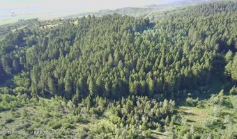 1041 HARMONY CREEK Dr, Afton, WY 83110