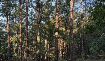 greenwood road, Antlers, OK 74523
