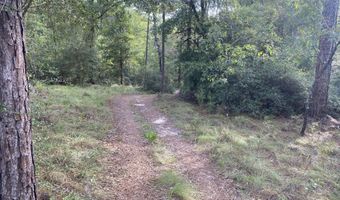 Putnam Avenue lot 31, Alford, FL 32420