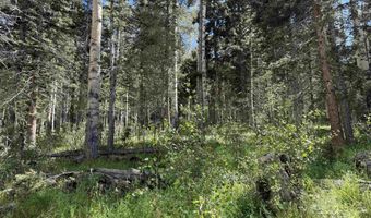 Lot 23 Elk Ridge Road, Angel Fire, NM 97710