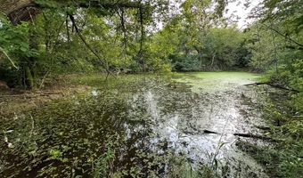 TBD Bear Pen Rd, Arkansaw, WI 54721