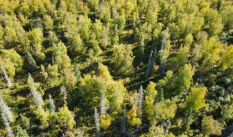 000 Isas Gemelas Lot 19B, Wasilla, AK 99654