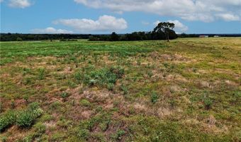 Tbd Tract 5 Fm-2819, Anderson, TX 77830