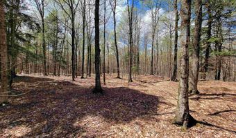 667 Cemetery St, Brookfield, VT 05036