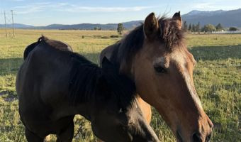 136 Goslin Loop, Cascade, ID 83611