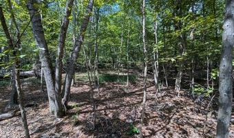 Marshall Drive, Appling, GA 30802