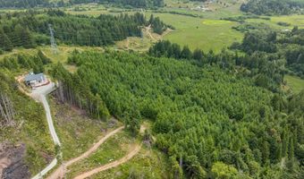 54431 Morrison Rd, Bandon, OR 97411