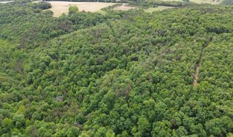 E Mountain Road, Bee Branch, AR 72013