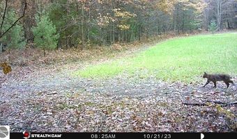 80 X Henry St, Alger, MI 48610