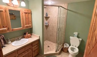 6402 Rustic Pine Trl, Alanson, MI 49706
