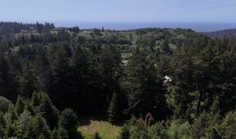 20452 Whaleshead Rd, Brookings, OR 97415