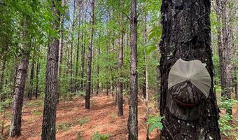 HWY 9, Banner, MS 38913