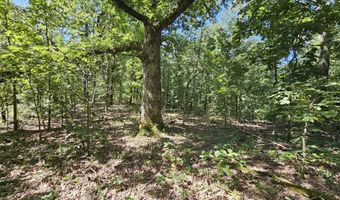 65 Acres Plainview Rd, Anderson, MO 64831