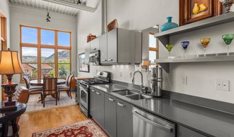 231 Robinson St 318, Basalt, CO 81621