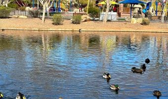 1651 W MORSE Dr, Anthem, AZ 85086