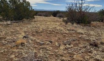 8085 County Rd, Concho, AZ 85924