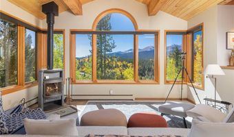 1139 BOREAS PASS Rd, Breckenridge, CO 80424