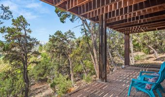 679 Pinon Dr, Basalt, CO 81621