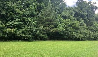 LYNNWOOD Cv, Adamsville, TN 38310