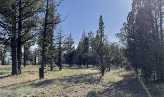 Hilltop Lane, Alturas, CA 96101