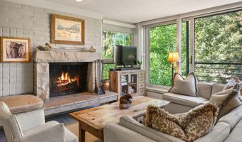 728 S Galena St 202-B, Aspen, CO 81611