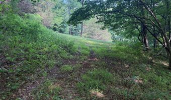 281 Scotts Branch Rd, Amherst, VA 24521