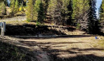 201 Tripod Vw, Cascade, ID 83611