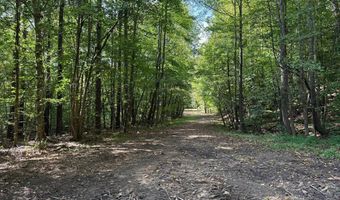 Coleman Mountain Road, Appomattox, VA 24522