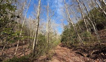 135 49ac Webb Creek Rd, Andrews, NC 28901