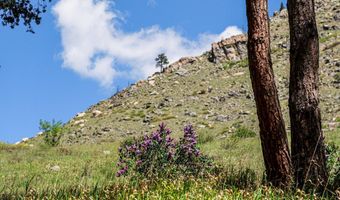 0 Wild River Rd, Bellvue, CO 80512