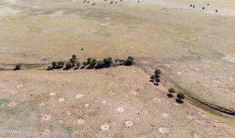 000- B1 Kirby Ln, Ash Fork, AZ 86320