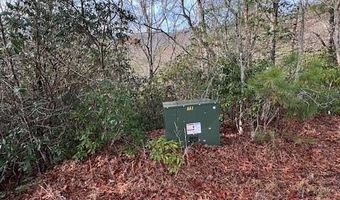 Tobacco Branch Road lot # 2, Almond, NC 28702