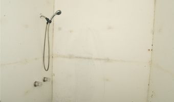 236 Lyman Ave, Hilo, HI 96720