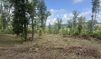 Tract 2 Mill Creek Rd, Andersonville, TN 37705