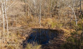 148 VIEWTOWN, Amissville, VA 20106