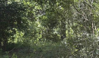 21123 LOOP Rd Lot 1, Andalusia, AL 36421