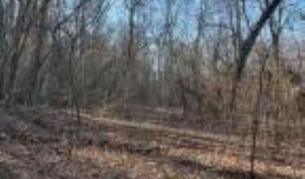 Whiskey Creek Lane, Batesville, AR 72501